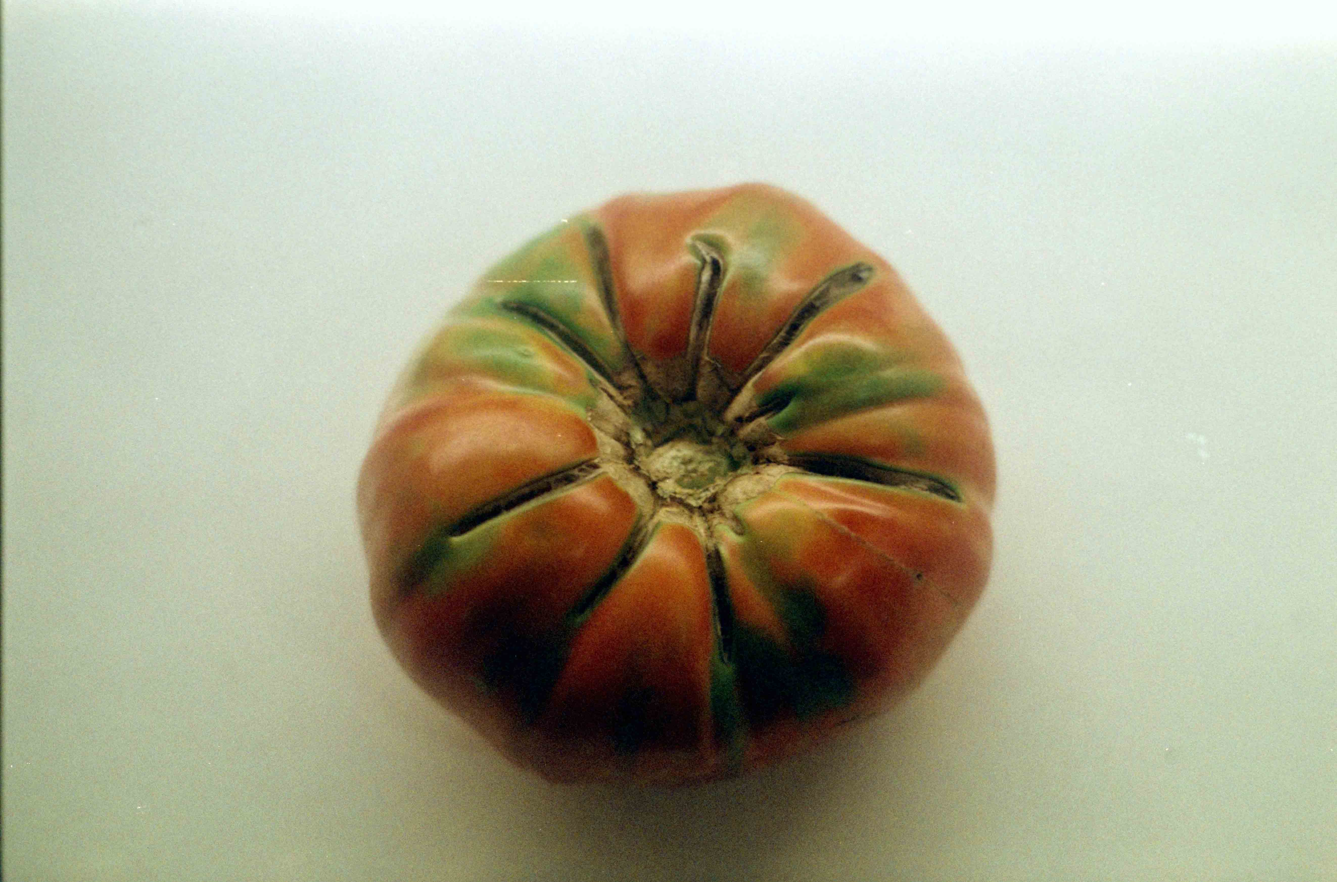 Ziad Antar, <i>Tomato</i>, 2025. Photograph printed on photo paper, 59 x 88 5/8 in (150 x 225 cm)